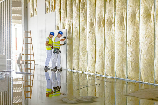 Types of Insulation We Offer in Oakes, ND